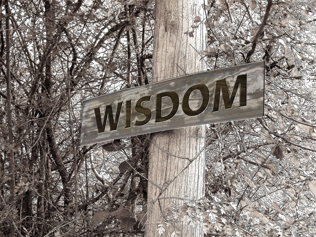 signpost, path, wisdom